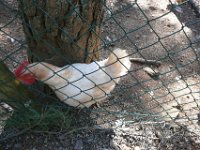 Vinhais-7,8-03-14 (105)